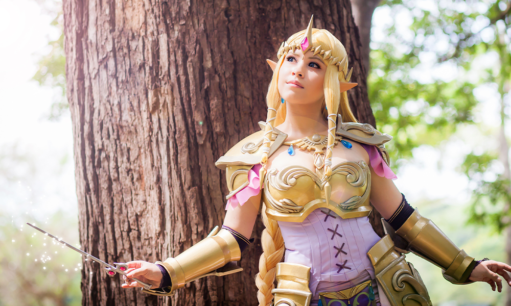 Cosplay Princess Zelda | Hyrule Warriors